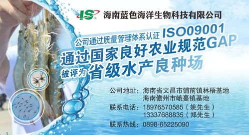 40℃高温下的坚守与遗忘 水产业务员背后的汗与泪