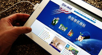 汇点品牌 专业驱动，塑造涂料行业的品牌新高度